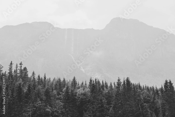 Obraz Norwegian mountain waterfall on a foggy autumn day with green coniferous trees in the foreground.