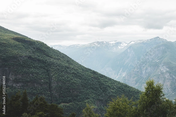 Fototapeta Norwegian mountain landscape. Green coniferous trees grow on the mountain and white frozen snow on the mountain top. warm summer day