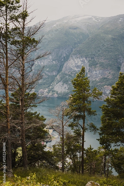 Obraz View of the Norwegian mountains next to Stegastein viewpoint.