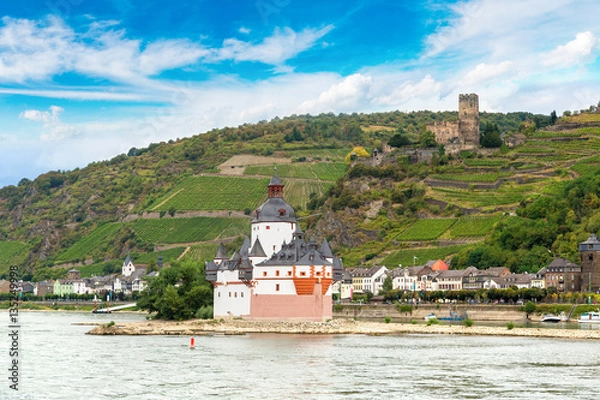 Fototapeta Romantic castles in Rhine valley