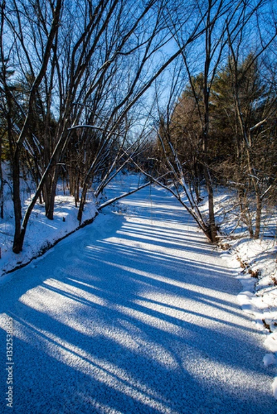 Obraz Wisconsin frozen river running through a forest in January