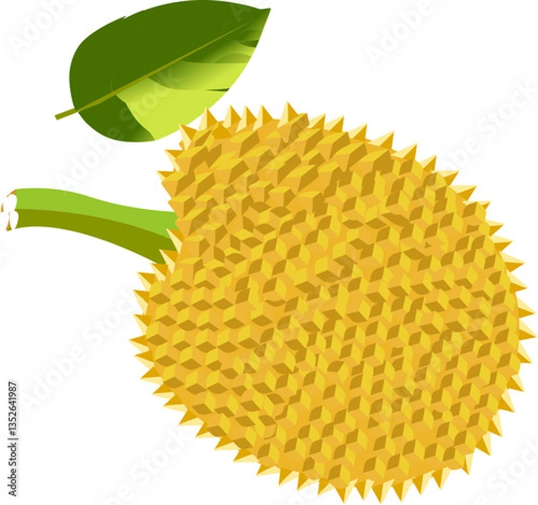 Fototapeta durian isolated on white