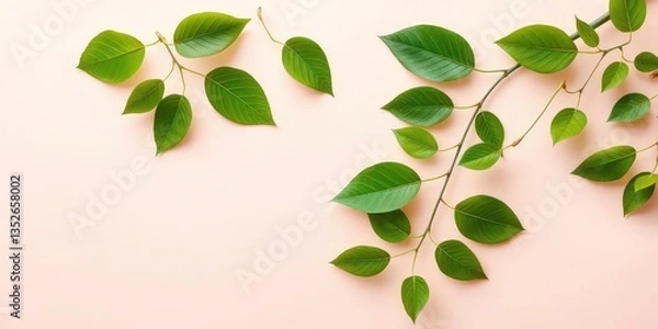Fototapeta Vibrant green leaves artistically arranged on a soft, light backdrop, leaving ample negative space, spring, greenery