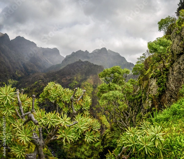 Fototapeta Madeira mountains in the mist