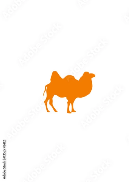 Obraz chameau 