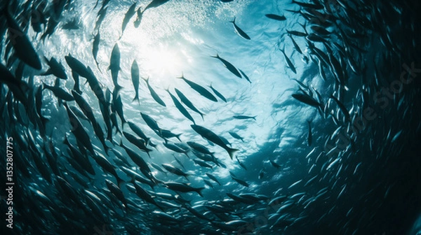 Fototapeta A school of fish swirling in crystal-clear water, abstract blue background, blue water background, blue water surface, tropical fish in aquarium