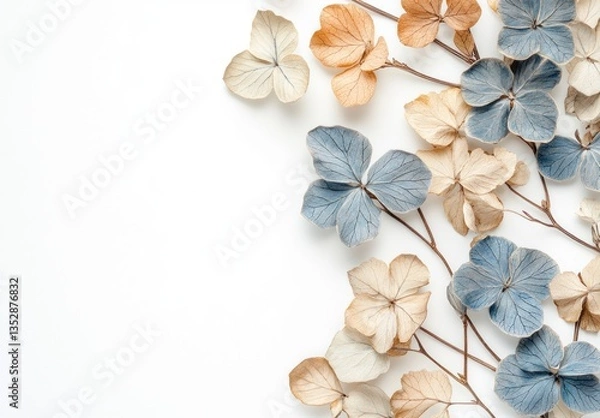 Fototapeta Dried flower petals of multiple colors arranged on white backdrop
