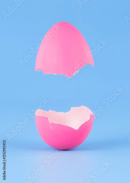 Obraz Single pink Easter Egg on blue background broken in pieces and opening like a hatching egg. Real dyed Easter egg shell cracked open vertically.