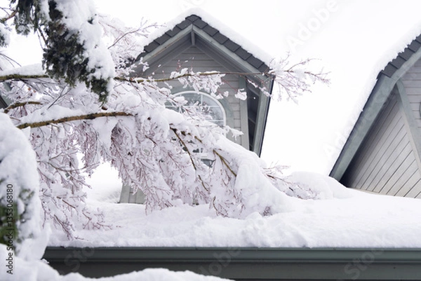 Obraz A heavy snow leaves broken branches on the roof of a house.  Tree trimming services are recommended.