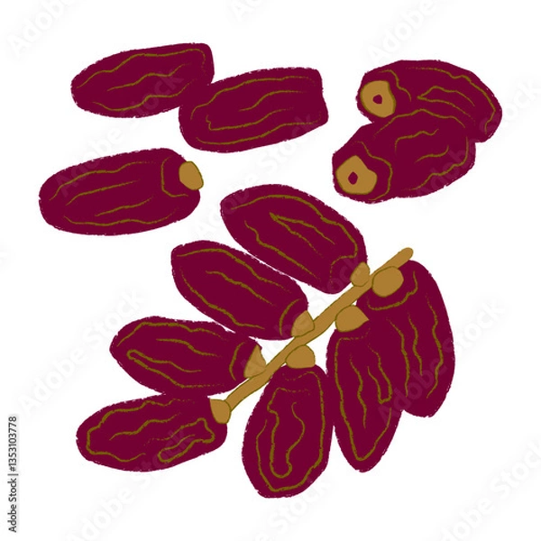 Fototapeta Kurma dates ramadhan food illistration vector