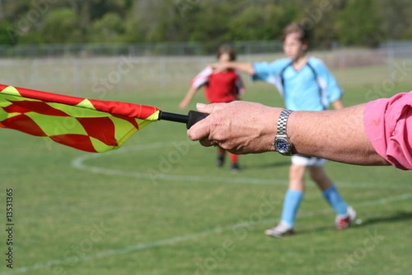 Obraz referee