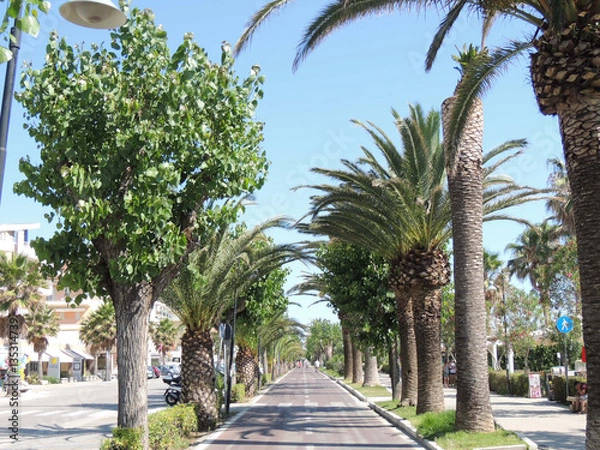 Obraz Alba Adriatica