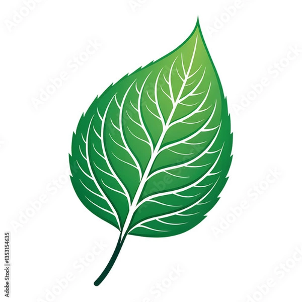 Fototapeta Green leaf ecology nature element vector icon, Leaf Icon, green leaf ecology nature element vector