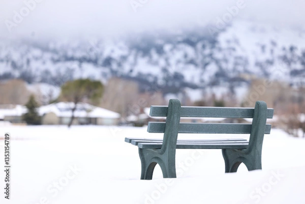 Obraz A green bench in the foreground with snow and a blurred house and mountain in the background.  A horizontal landscape presentation of a bleak winter day at the golf course.