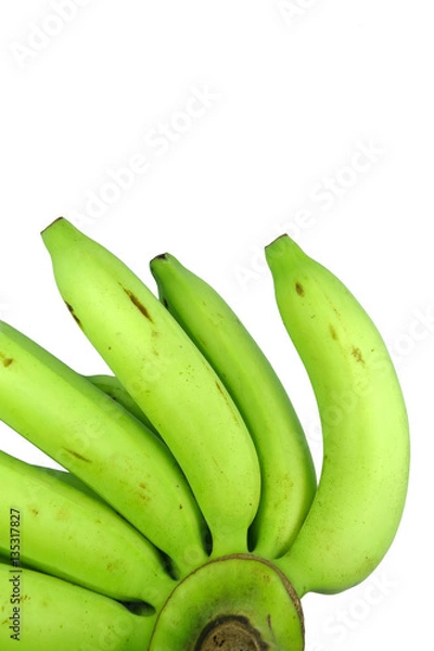 Fototapeta bunch of green raw bananas