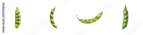 Fototapeta Four green bean pods show various seed development stages horizontally Period