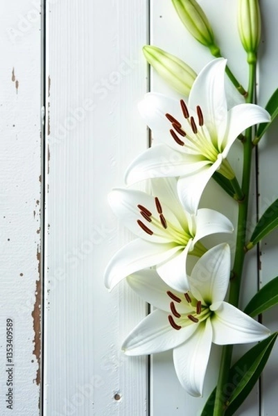 Fototapeta Beautiful white lily flowers in bloom on rustic white wood backdrop, spring, decor, purity