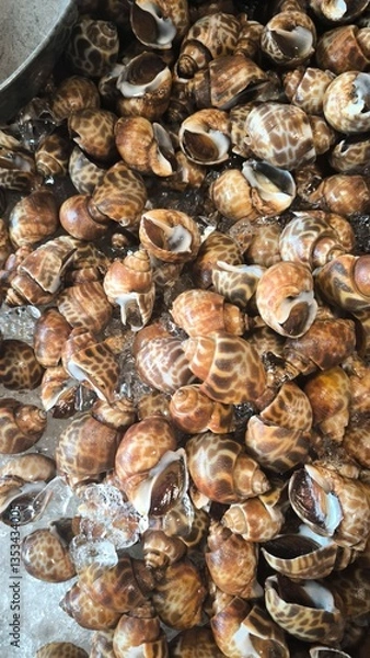 Obraz fresh spotted babylon on ice in market