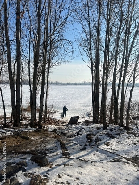 Obraz ducks in winter