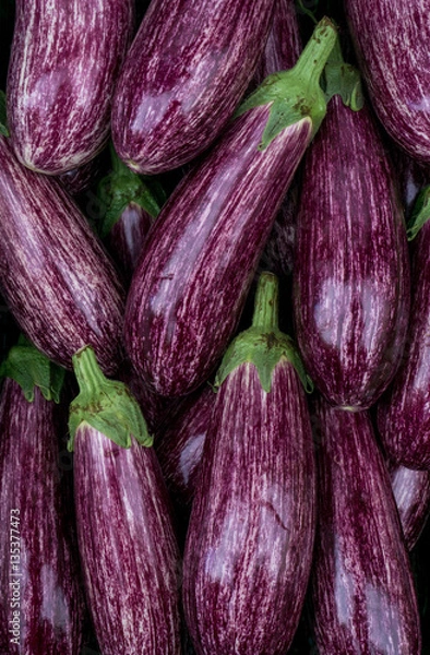 Obraz Eggplants closeup.