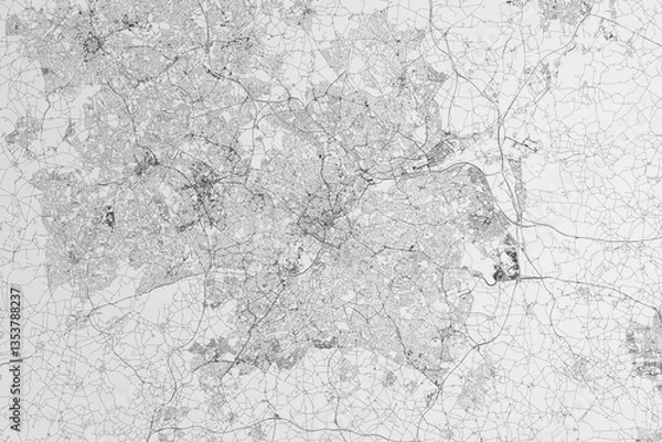 Fototapeta Map of the streets of Birmingham (UK) on white background. 3d render, illustration