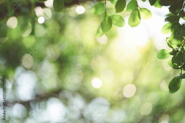 Fototapeta Closeup of green leaves with sunlight and copy space for fresh greenery and botany background concept.