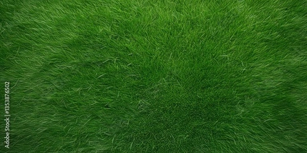 Obraz A detailed top-down shot of a healthy and well-manicured green grass surface