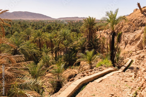 Fototapeta Panoramic view over oasis of date palms, Figuig, Morocco