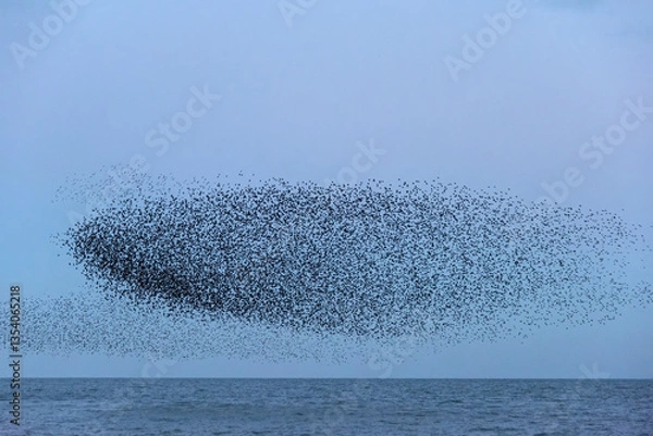 Obraz Amazing image of starling murmuration in flight during pastel colour Winter sunset evening