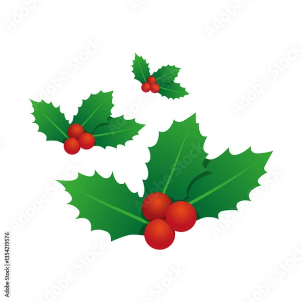 Obraz x-mas_holly_set