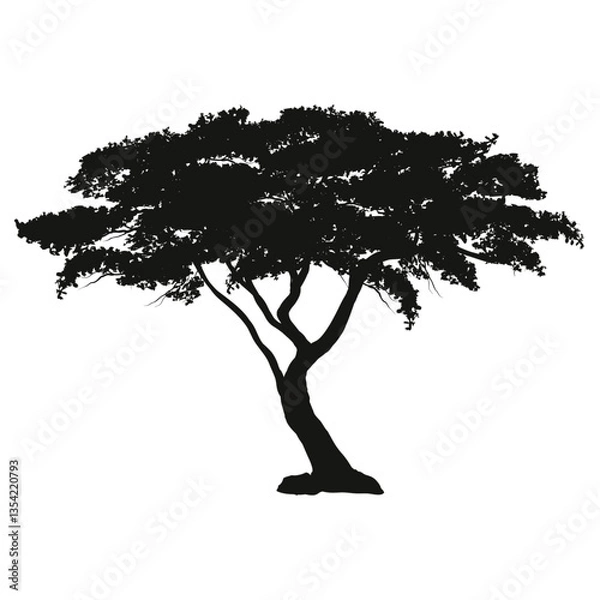 Obraz dense mopani tree illustration