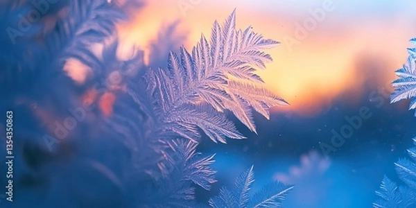 Fototapeta Feathery Ice Fractals: Beautiful Winter Patterns Forming on Glass Window.
