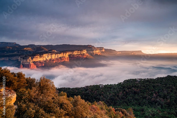 Fototapeta Golden sunlight of the morning (Sau Reservoir, Spain)