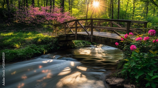 Obraz A wooden footbridge nestled within a sunlit forest, spanning a calm, meandering stream.