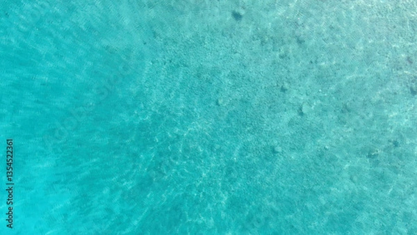 Fototapeta A mesmerizing aerial shot of crystal-clear turquoise waters, revealing the underwater textures beneath. Perfect for backgrounds, nature themes, and travel-related designs.