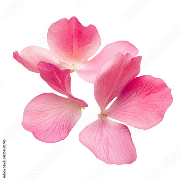 Fototapeta Pink flower petals vibrant background floral art nature beauty