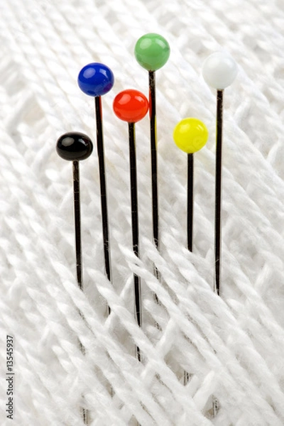 Obraz Tailors pin