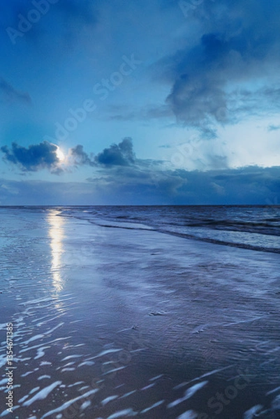 Obraz Blue jellyfish washed up on the beach between the waves of the North Sea