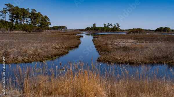 Obraz Small canal works its way through the marshes and wetlands in the Chiconteague Wildlife Refuge in Virginia