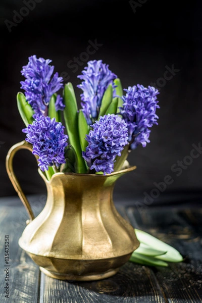 Obraz First spring flower - blue hyacinth in brass vase