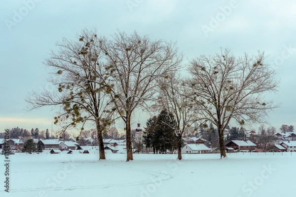 Fototapeta Bayerisches Dorf Thanning bei Egling in der winterlichen Abenddämmerung