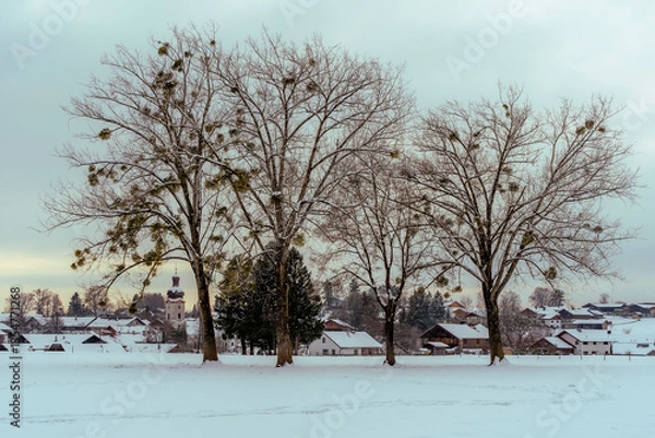 Fototapeta Thanning bei Egling in Oberbayern im Winter