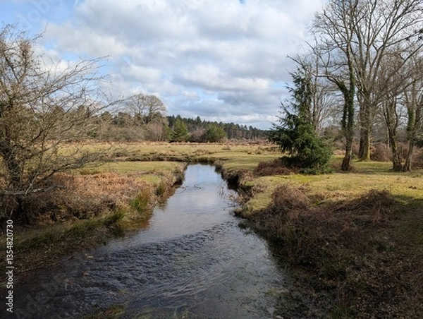 Obraz Beautiful stream and landscape 