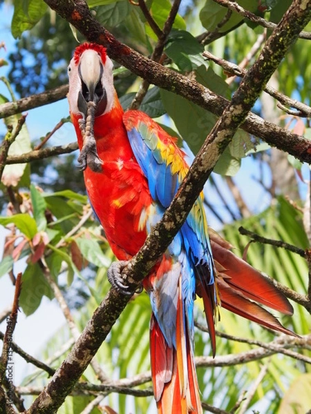 Obraz OLYMPUS DIGITAL CAMERA