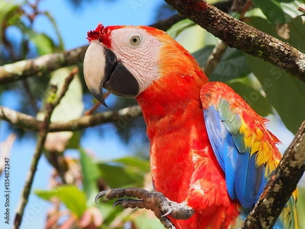 Fototapeta OLYMPUS DIGITAL CAMERA