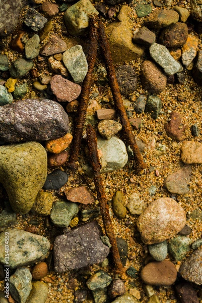 Obraz rusty nails in nature