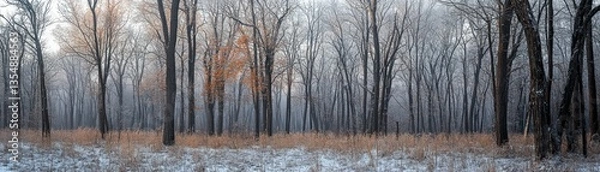 Fototapeta A panoramic image showing bare winter trees and snow