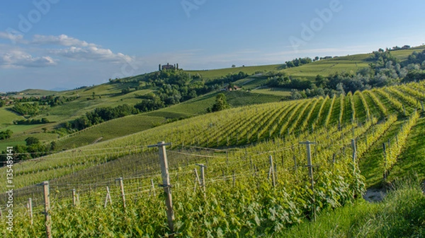 Obraz Barolo, Italy