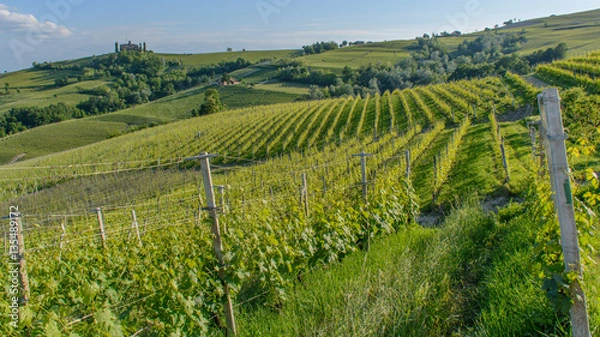 Obraz Barolo, Italy