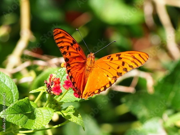 Obraz OLYMPUS DIGITAL CAMERA